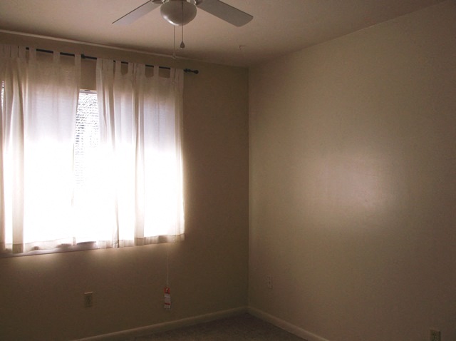 Gallery Photo 15